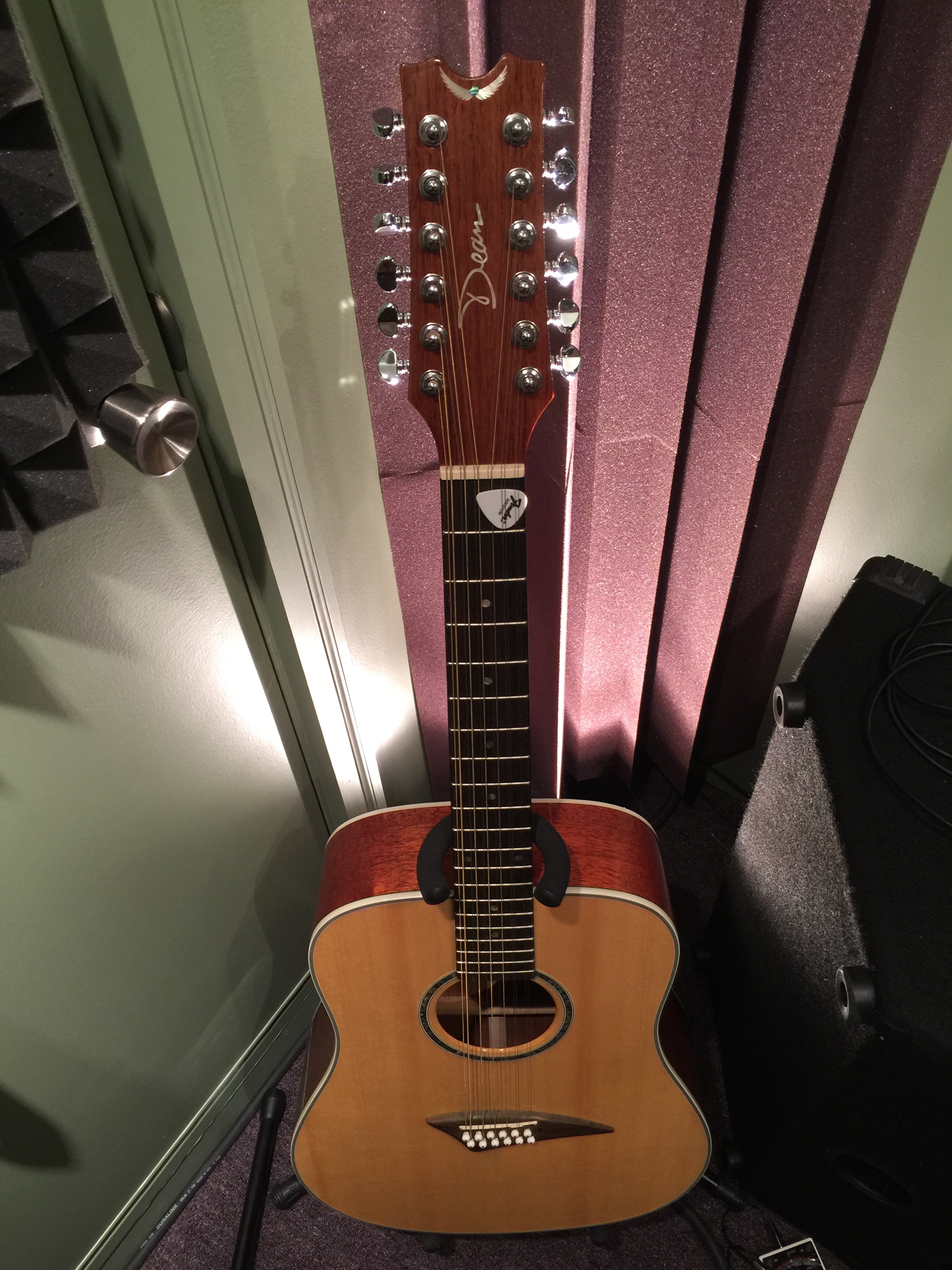 12 string guitar
